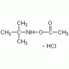 O-乙?；?N-叔丁基羥胺鹽酸鹽>98%